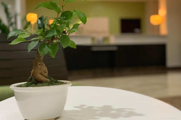 Holiday Inn MAYAGUEZ & TROPICAL CASINO (Mayagüez)